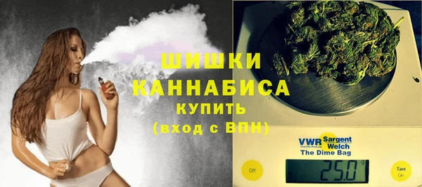 молекула духа Дмитровск