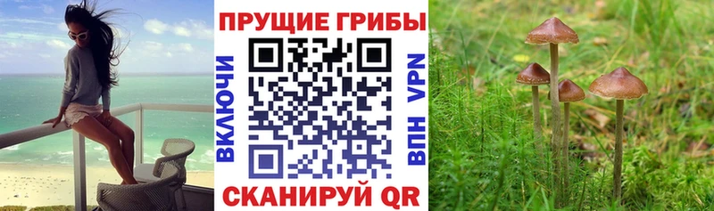 Псилоцибиновые грибы Magic Shrooms Обь