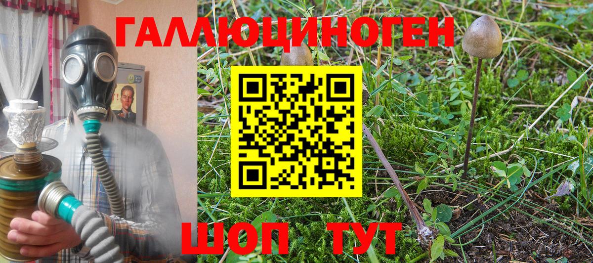Галлюциногенные грибы ЛСД Обь