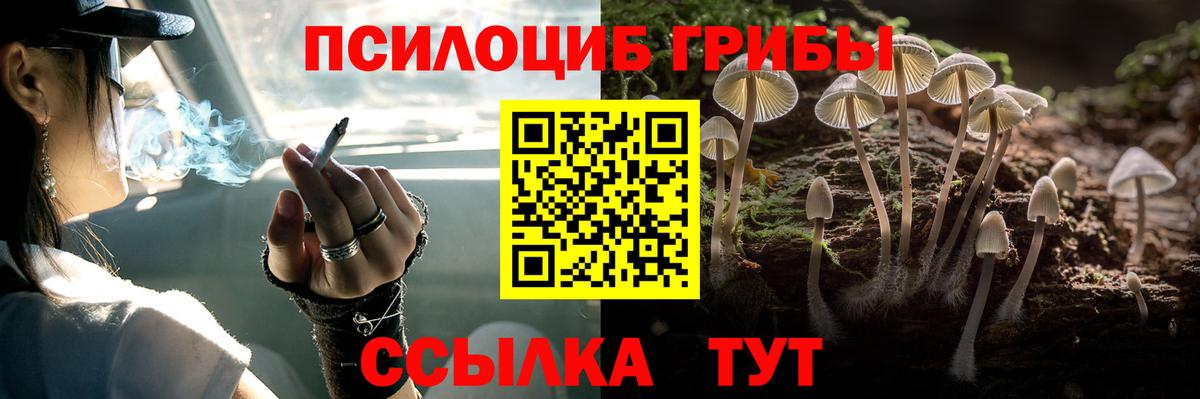 Псилоцибиновые грибы Psilocybine cubensis  Вход с VPN  Псилоцибиновые грибы прущие грибы  Обь 